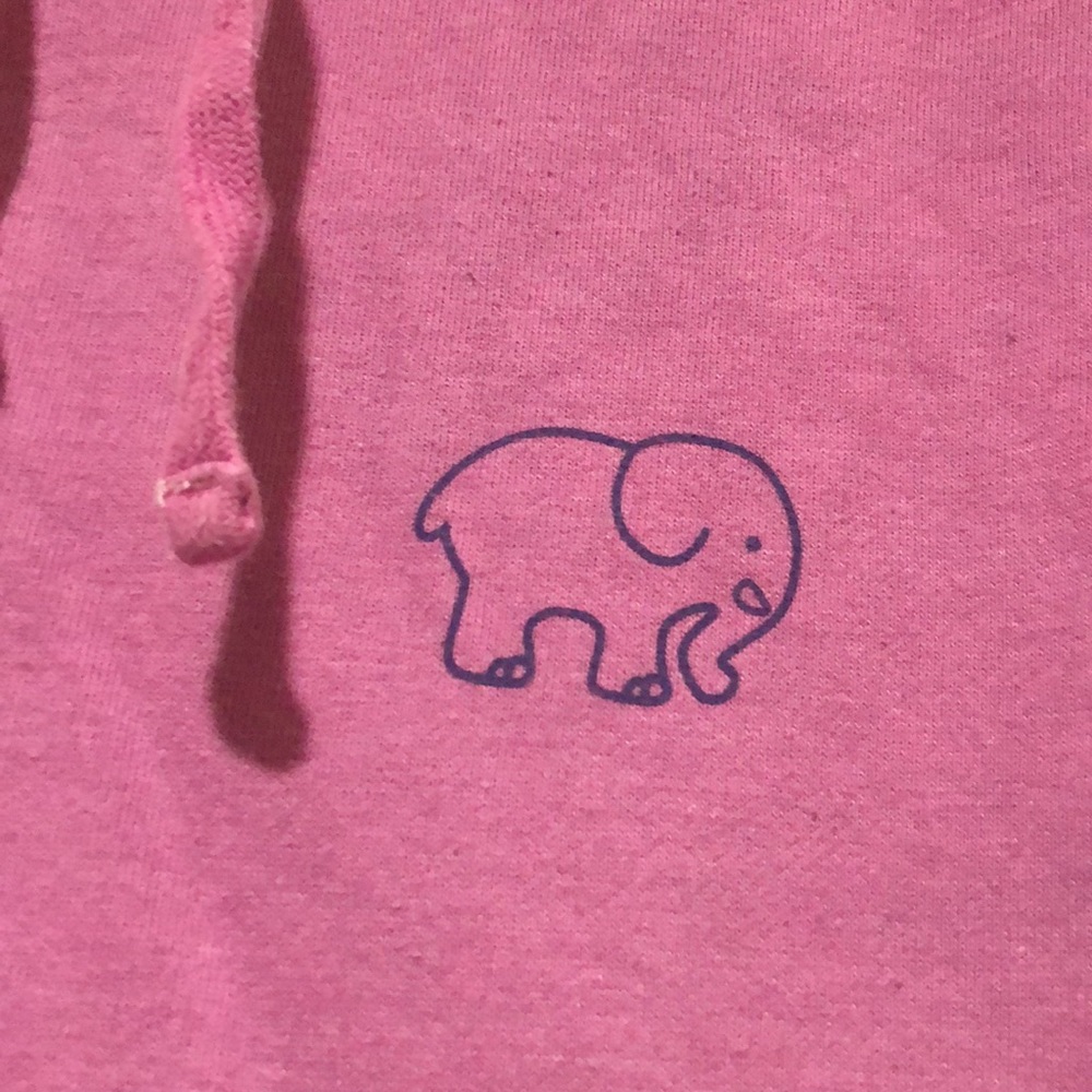New Ivory Ella Hooded Sweatshirt - Picture 9 of 13